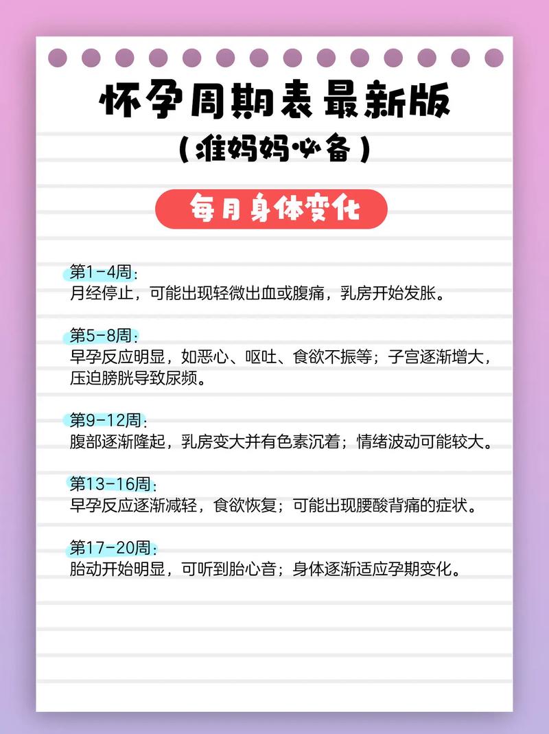 懷孕多久會隆起