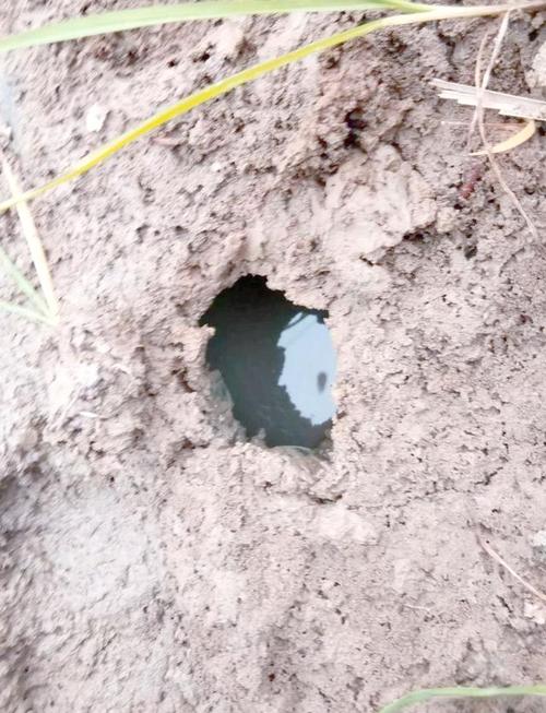 龍蝦洞走多久:從停車場到秘境的步行攻略與時間估算 1 龍蝦洞走多久