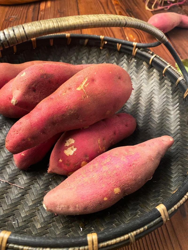 地瓜有膳食纖維嗎