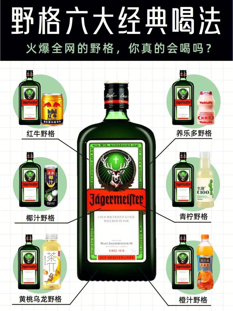 野格套什麼:探索野格酒的完美搭配與獨特風味 1 野格套什麼