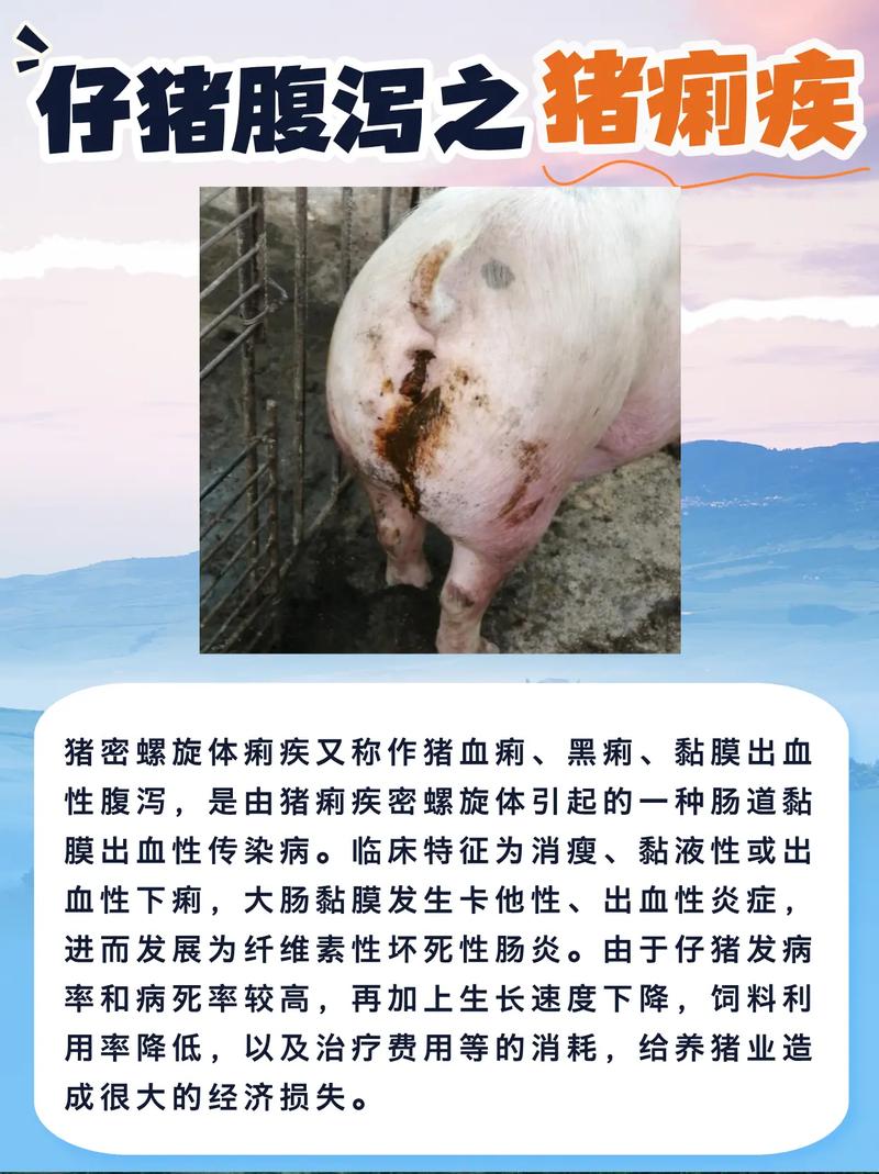 痢疾有什麼症狀:深入解析、鑑別與緊急處理時機 1 痢疾有什麼症狀