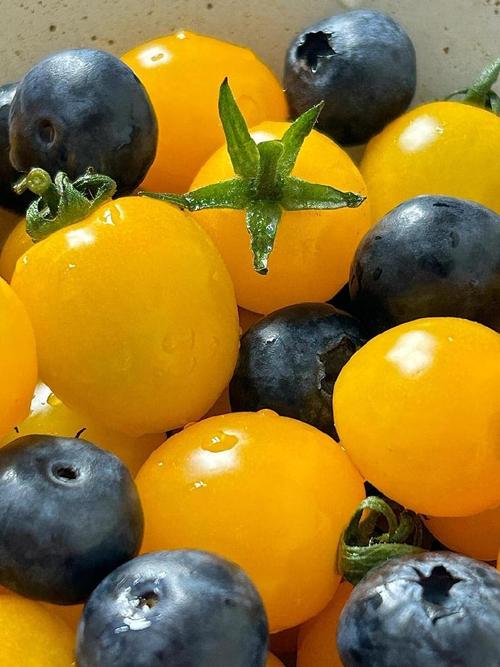 夏天的水果有什麼