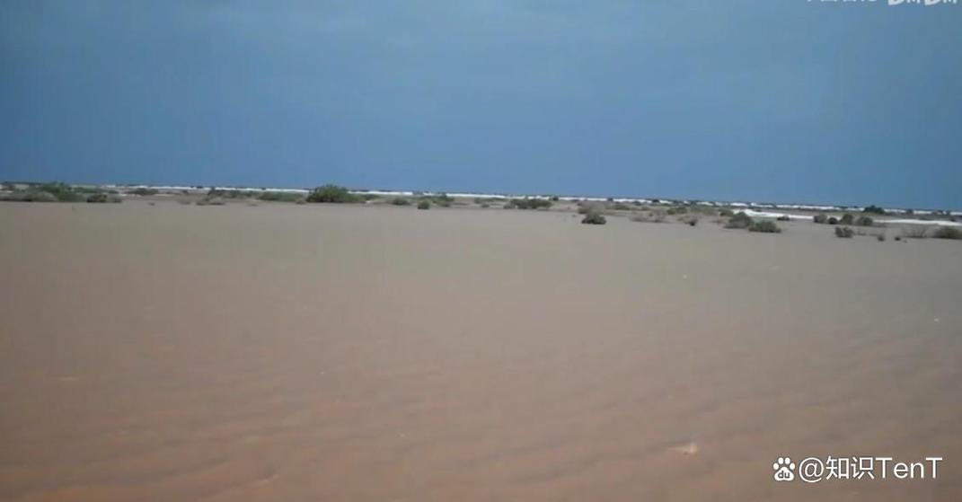 沙漠下雨會怎麼樣:一場短暫而深刻的生態奇蹟與挑戰 1 沙漠下雨會怎麼樣