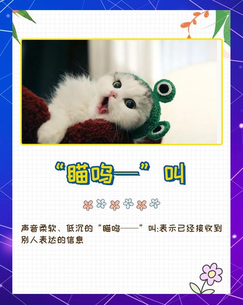 貓咪會互相溝通嗎?揭密喵星人複雜的社交語言與秘密對話 3 貓咪會互相溝通嗎
