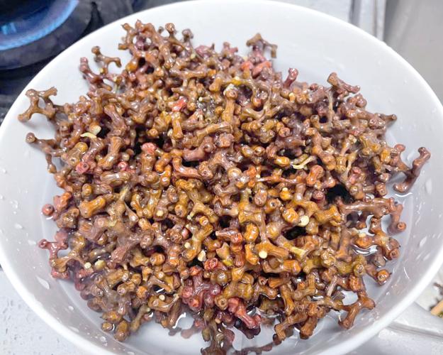 猢猻木果實可以吃嗎