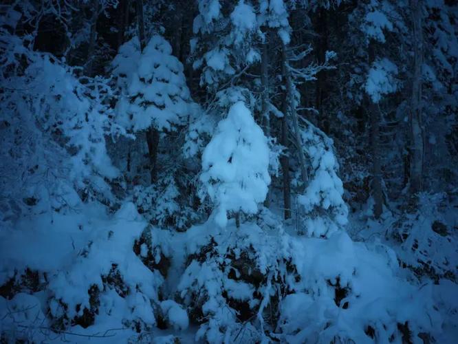 德國冬天幾點天黑:深度解析德國冬季日落時間與旅行攻略 1 德國冬天幾點天黑