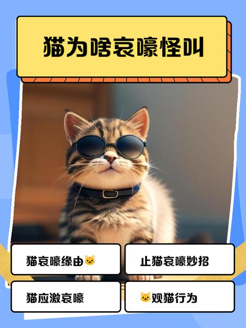 貓咪為什麼會嚎叫:解析主子夜半嚎叫的行為與對策 3 貓咪為什麼會嚎叫