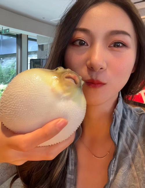 海豚可以憋氣多久