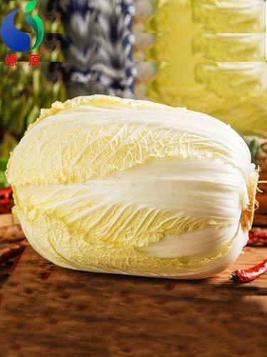 山東大白菜好吃嗎 - 深度解析其風味、營養與烹飪秘訣 1 山東大白菜好吃嗎