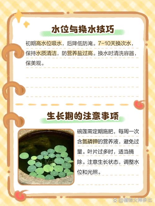水蓮怎麼清洗