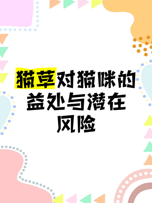 貓草對貓有害嗎