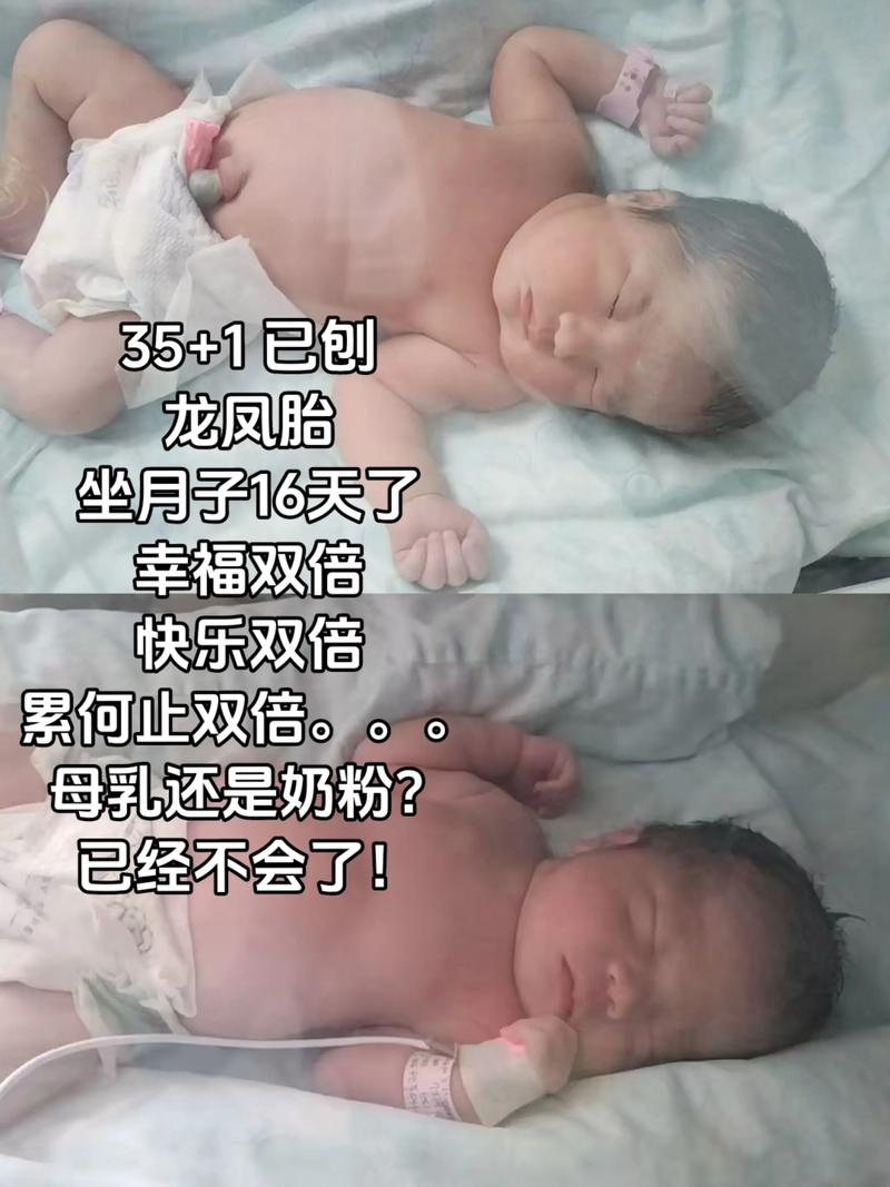 怎麼懷上龍鳳胎:科學方法、自然秘訣與機率提升全攻略 3 怎麼懷上龍鳳胎