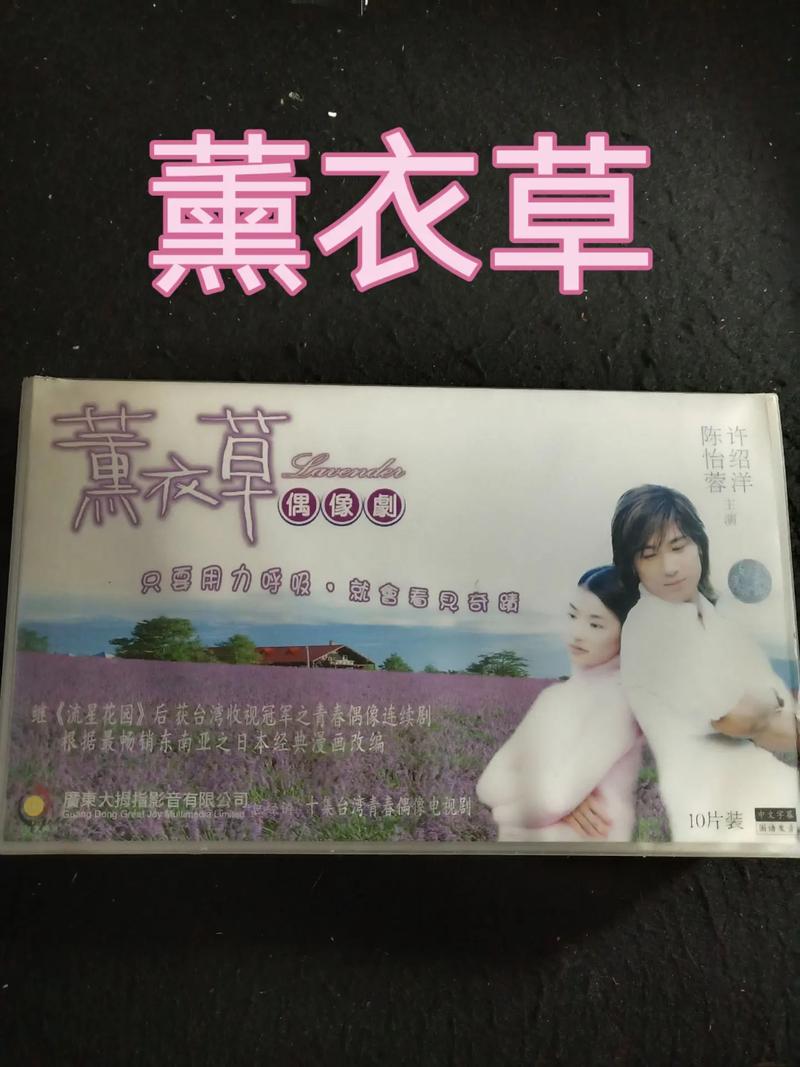 台灣第一部偶像劇是什麼