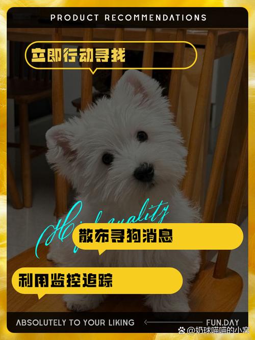 狗狗走失報警有用嗎