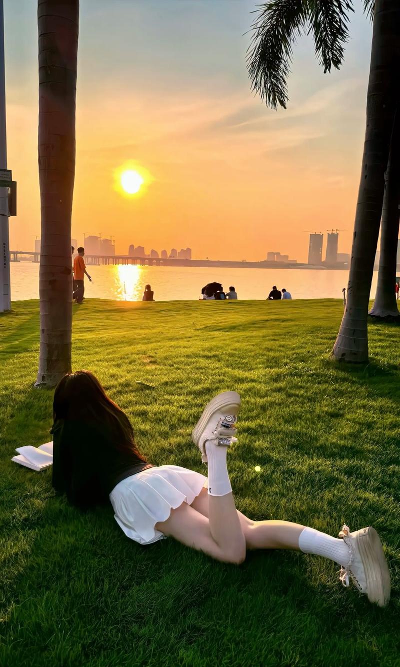 曬衣服一定要太陽嗎:揭秘陽光烘乾的迷思與高效替代方案 3 曬衣服一定要太陽嗎