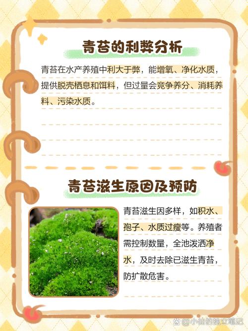青苔如何去除