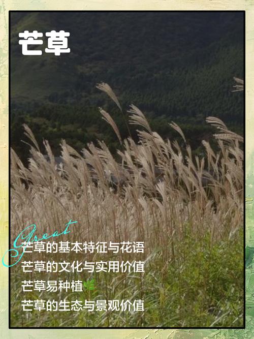 瑞芳芒草祕境在哪裡
