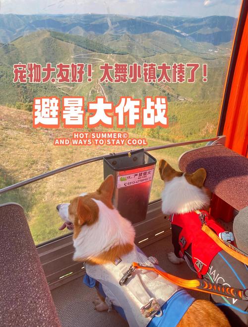 樹懶餐廳可以帶狗嗎