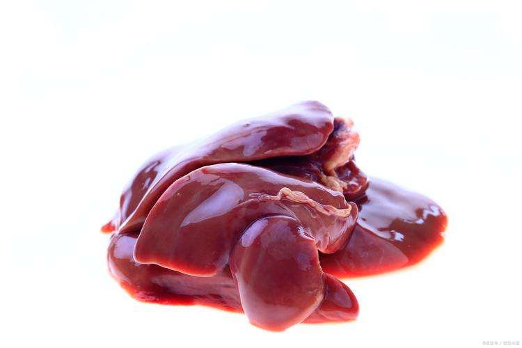 什麼動物只有九顆腎