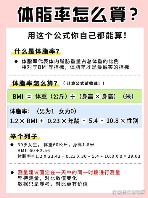 體脂多少才正常?揭秘健康體脂率的黃金標準與維持之道 1 體脂多少才正常