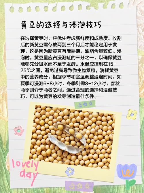 為什麼要泡黃豆