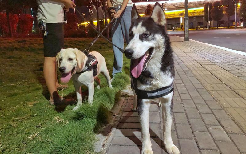 遠雄廣場可以帶狗嗎