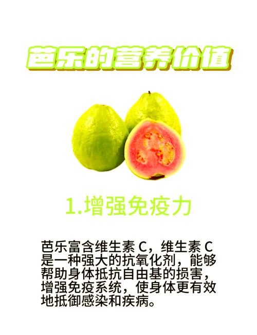 一顆芭樂多少維生素C