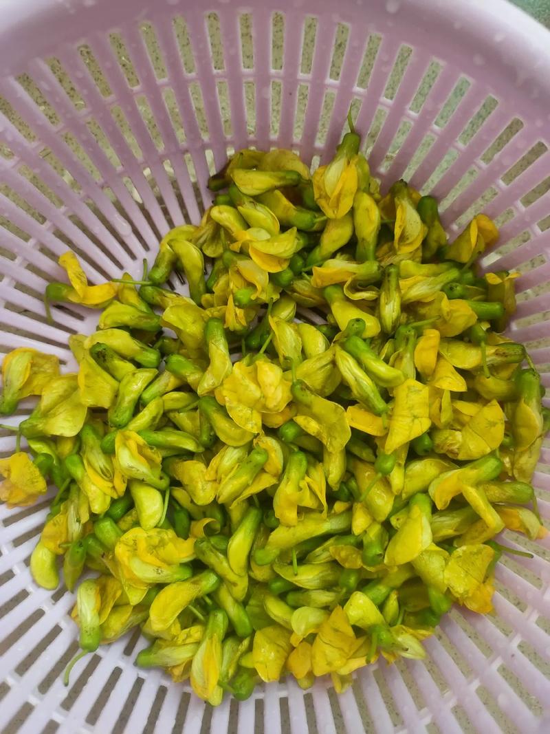 冇骨消花可以吃嗎:安全性、食用方法與注意事項全解析 1 冇骨消花可以吃嗎