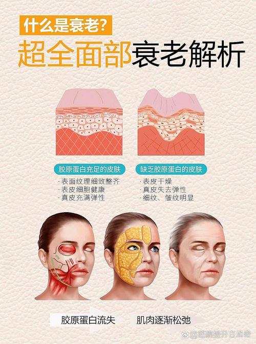 老化指數多少算高