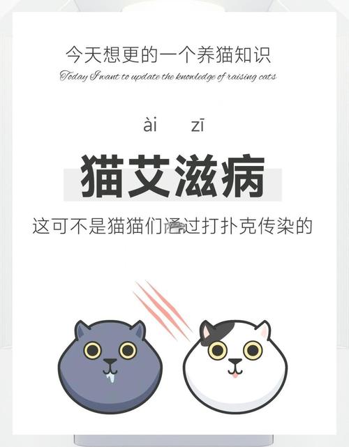 貓愛滋可以活多久:貓免疫缺陷病毒感染的壽命解析與照護指南 3 貓愛滋可以活多久