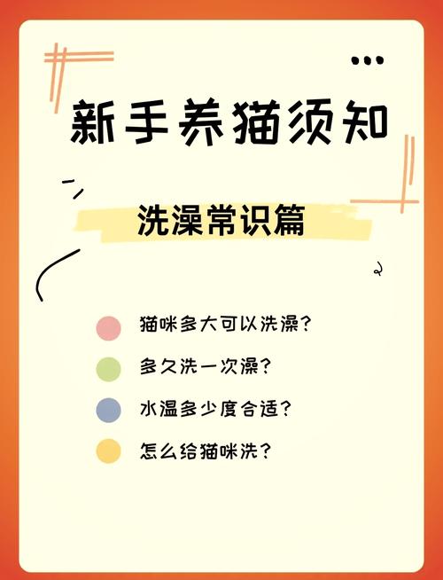 貓咪多久洗一次早