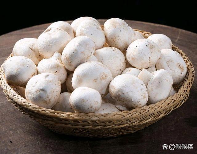 口蘑在台灣叫什麼