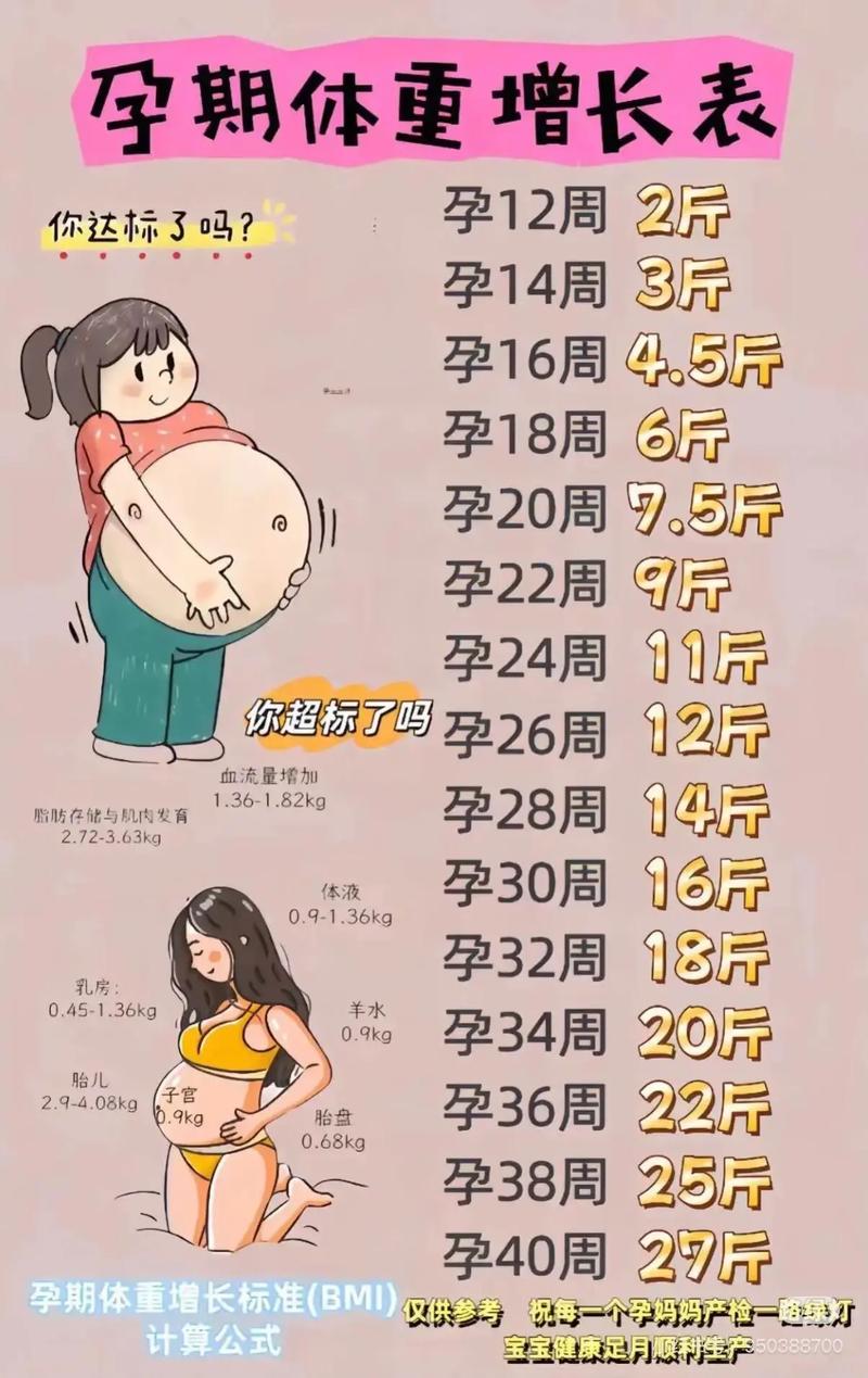 懷孕最少胖幾公斤?健康指南與體重管理全解析 1 懷孕最少胖幾公斤