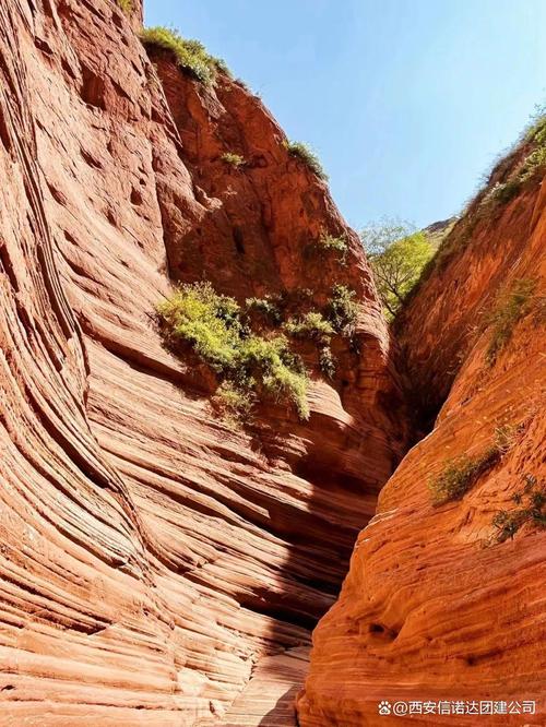 林邊有什麼好玩?探索屏東林邊的在地秘境與海鮮美食之旅 1 林邊有什麼好玩