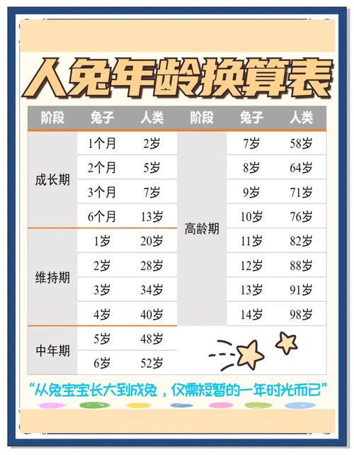 兔子的壽命有多久:深入探討影響兔子壽命的關鍵因素與照護指南 3 兔子的壽命有多久