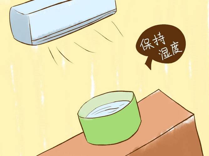 為什麼吹冷氣要放一盆水