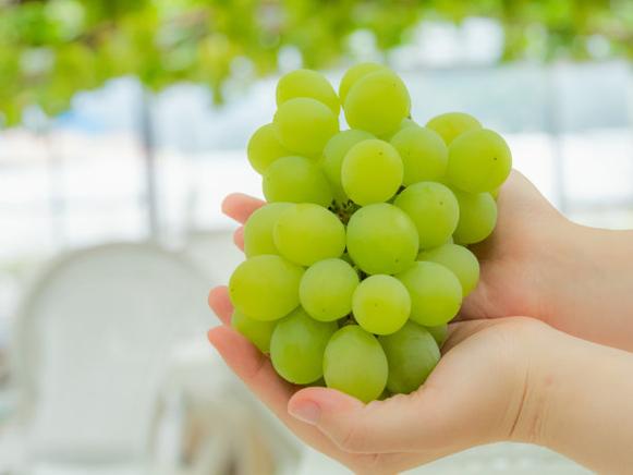 日本麝香葡萄哪裡最好:選購、產地、品嚐全攻略 1 日本麝香葡萄哪裡最好