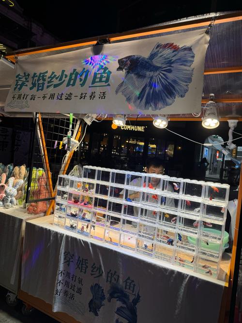 夜市可以撈魚嗎 - 台灣夜市撈金魚攻略、技巧與注意事項全解析 3 夜市可以撈魚嗎