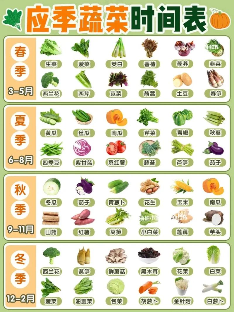 這個季節有什麼蔬菜