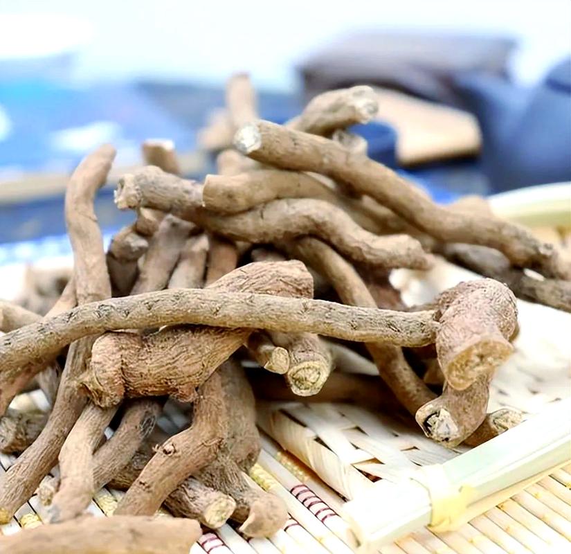 一枝香有毒嗎?馬纓丹的毒性解析、潛在危害與安全指南 1 一枝香有毒嗎