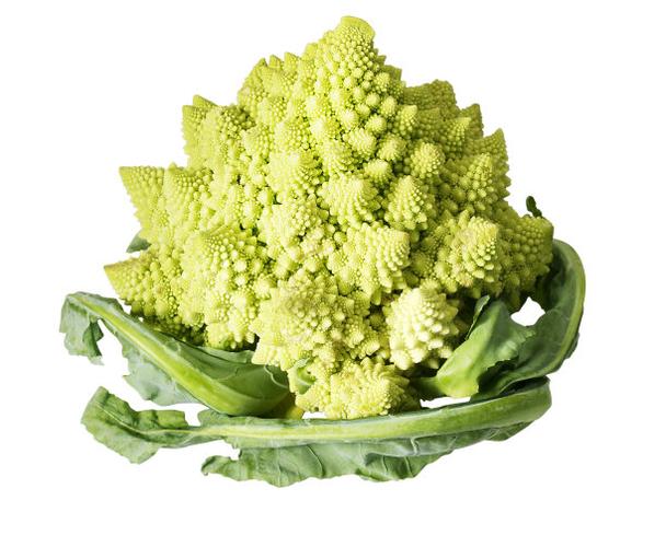 綠花椰菜可以每天吃嗎