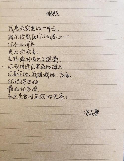 徐志摩偶然賞析