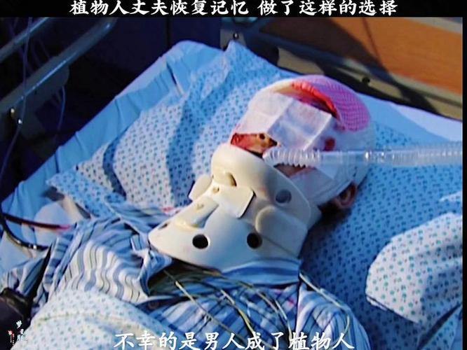 植物人能拔管嗎?台灣法律、倫理與善終選擇的深度解析 3 植物人能拔管嗎