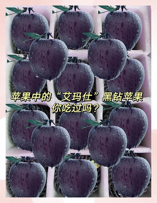 黑蘋果:深度解析、打造指南與常見問題 3 黑蘋果