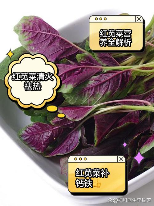 紅莧菜為什麼不能晚上吃