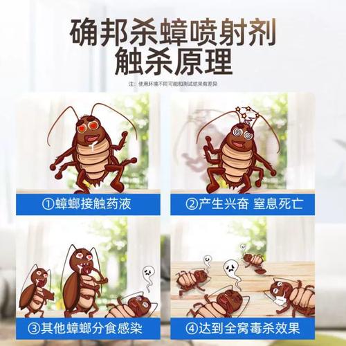 蟑螂噴什麼會死