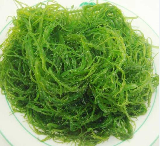 髮菜長什麼樣子