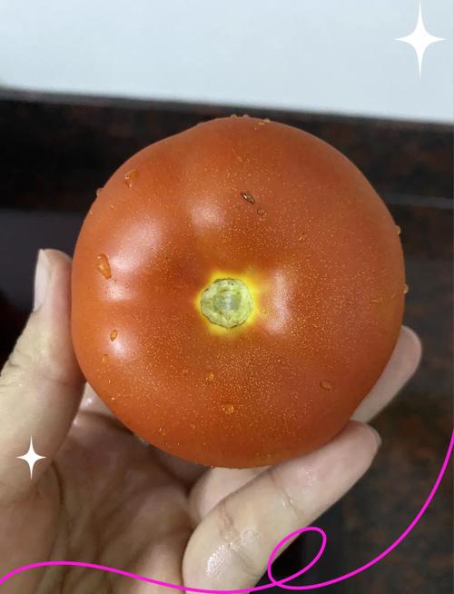 為什麼番茄要去皮