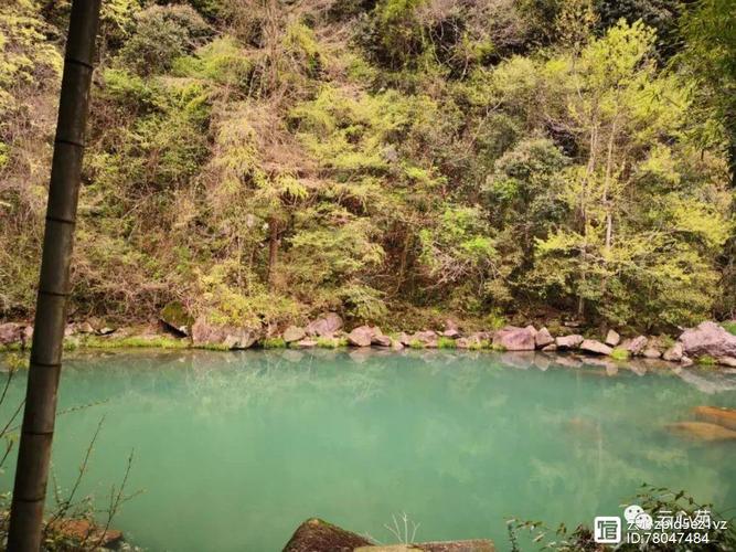 碧潭死了多少人