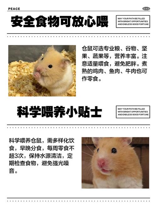 吃什麼會馬上死